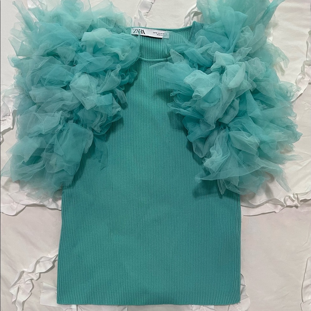 Zara Fun Sleeve Top